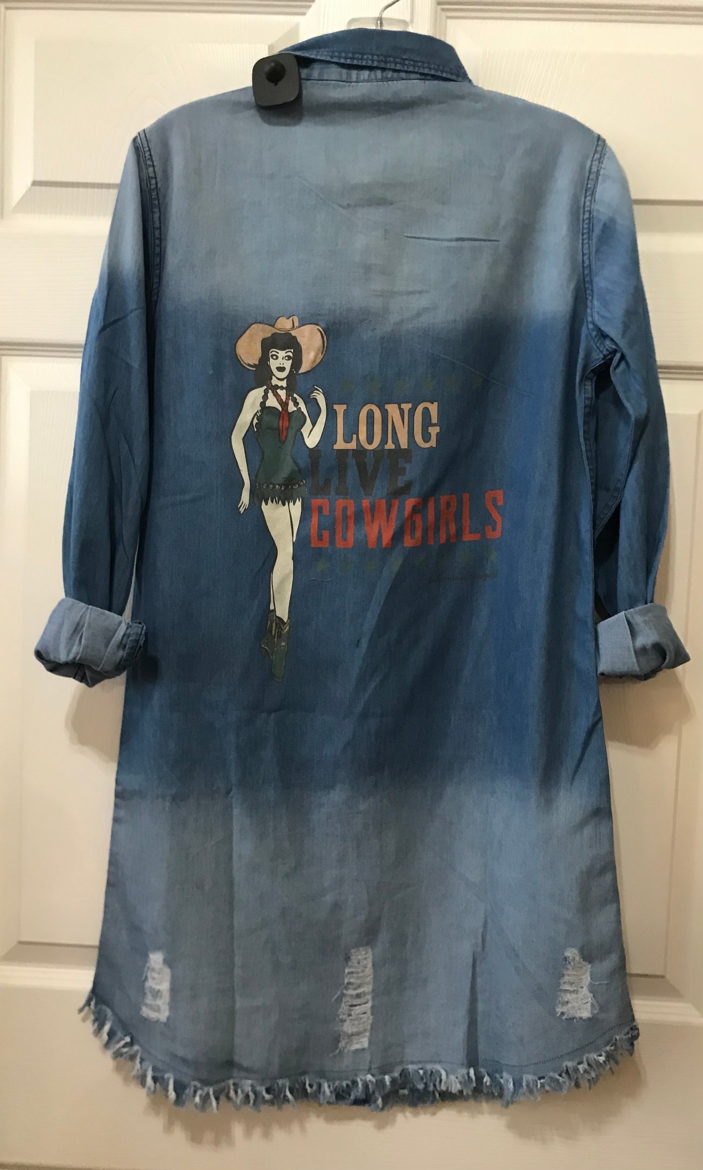 LONG LIVE COWGIRLS DENIM DRESS