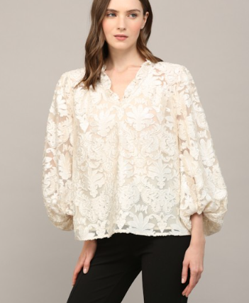 VELVET RUFFLE BLOUSE 20267